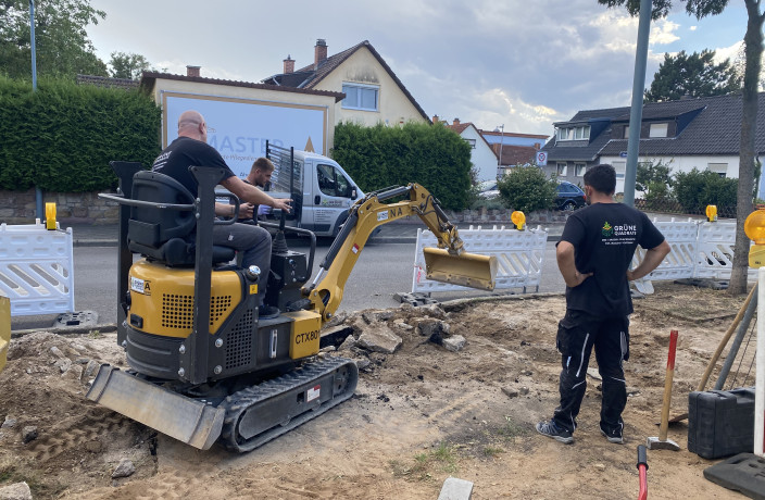 Beispielarbeit von Grüne Quadrate Garten- und Landschaftsbau - veröffentlicht auf Gartenbau.org